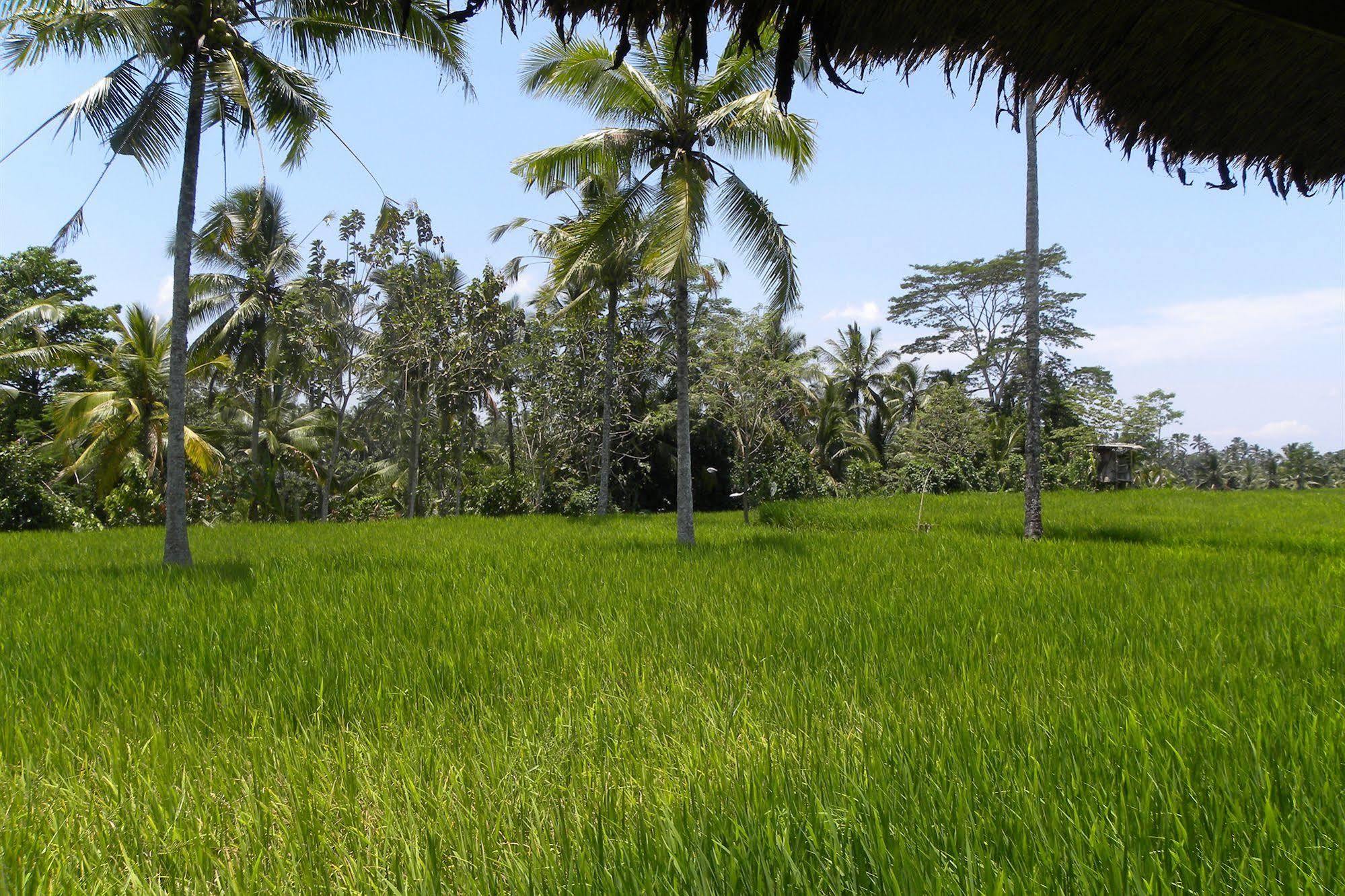Saudara Home Ubud ภายนอก รูปภาพ