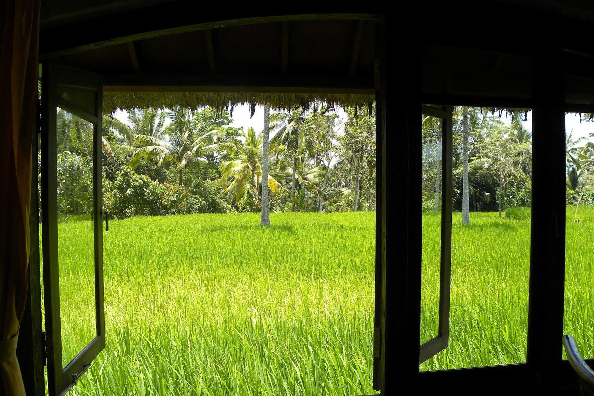 Saudara Home Ubud ภายนอก รูปภาพ